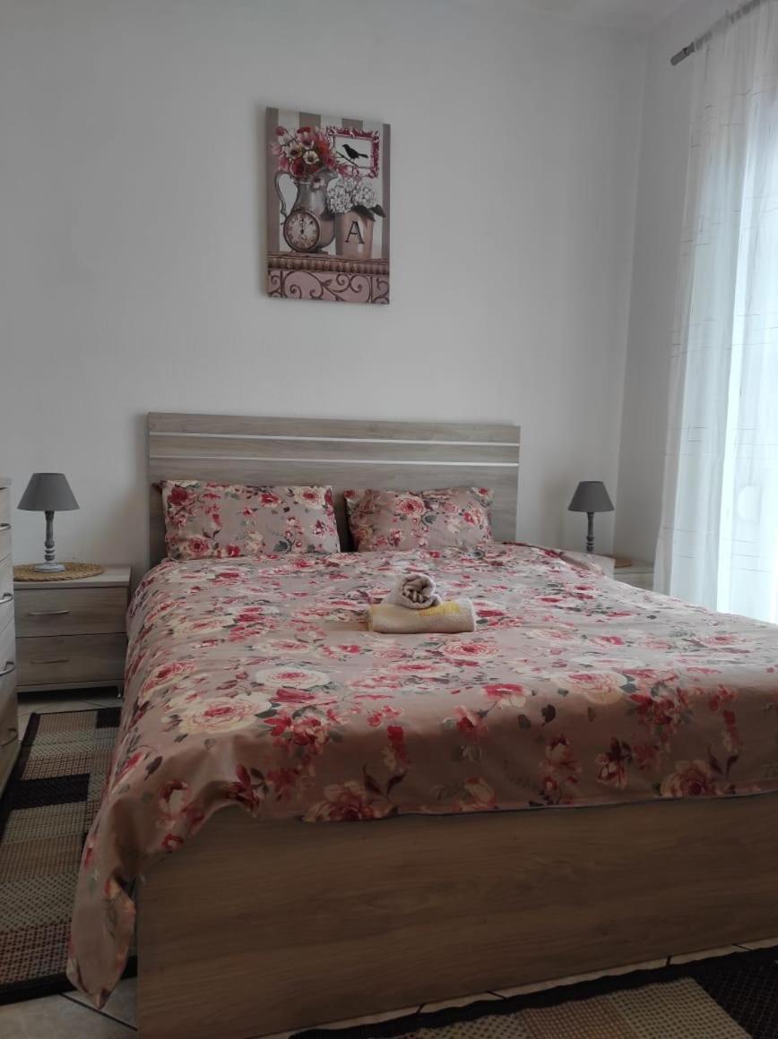 S.T Family Apartement Каламбака Екстер'єр фото